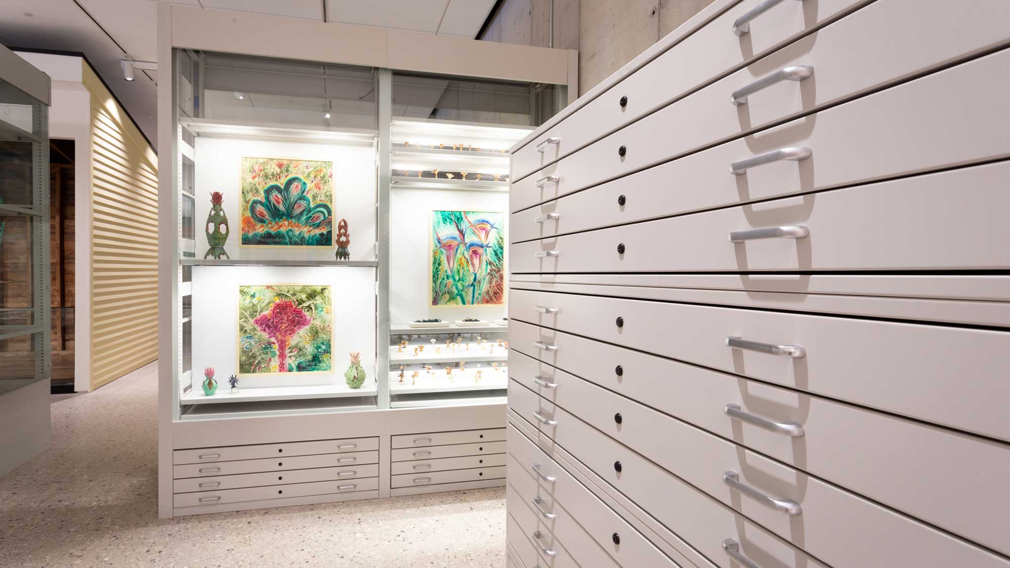 White flat-file cabinets beneath glass-fronted display shelving showcasing colorful artworks in a museum setting.