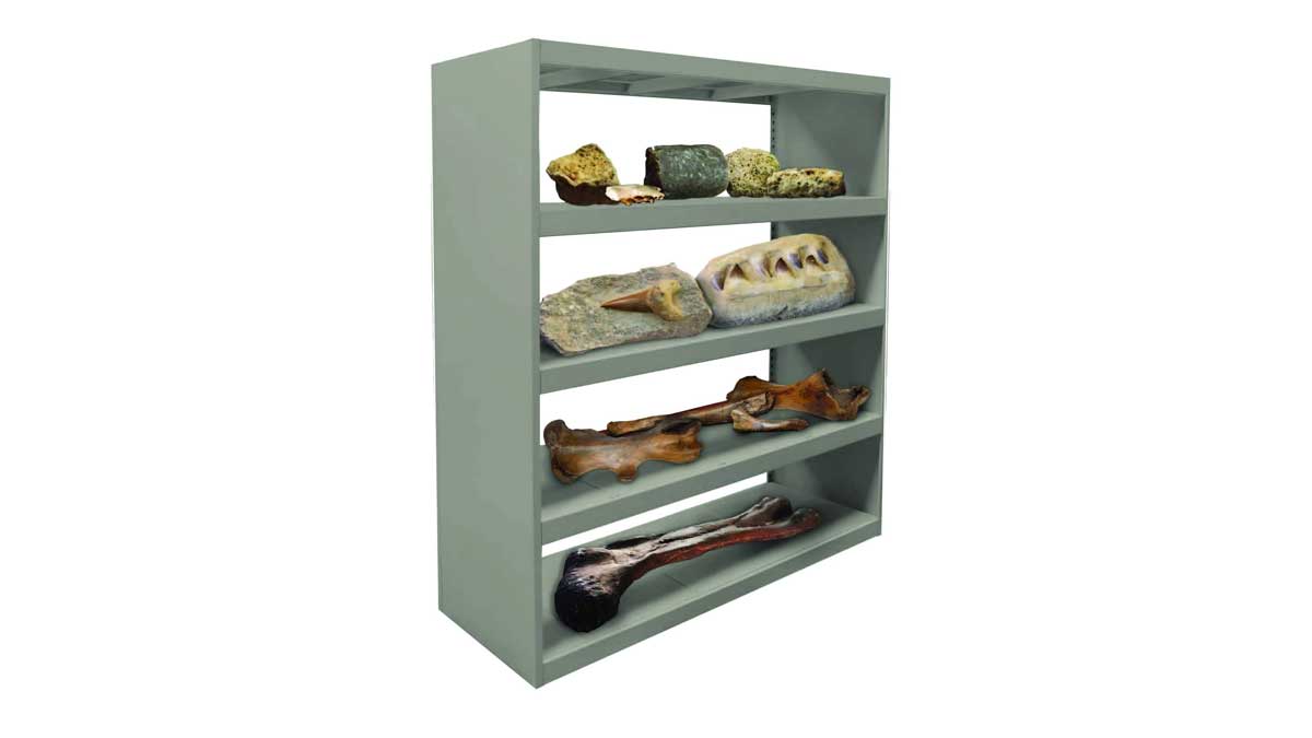 Sturdy metal shelving units showcasing fossils, bones, and geological specimens for museum storage and display 