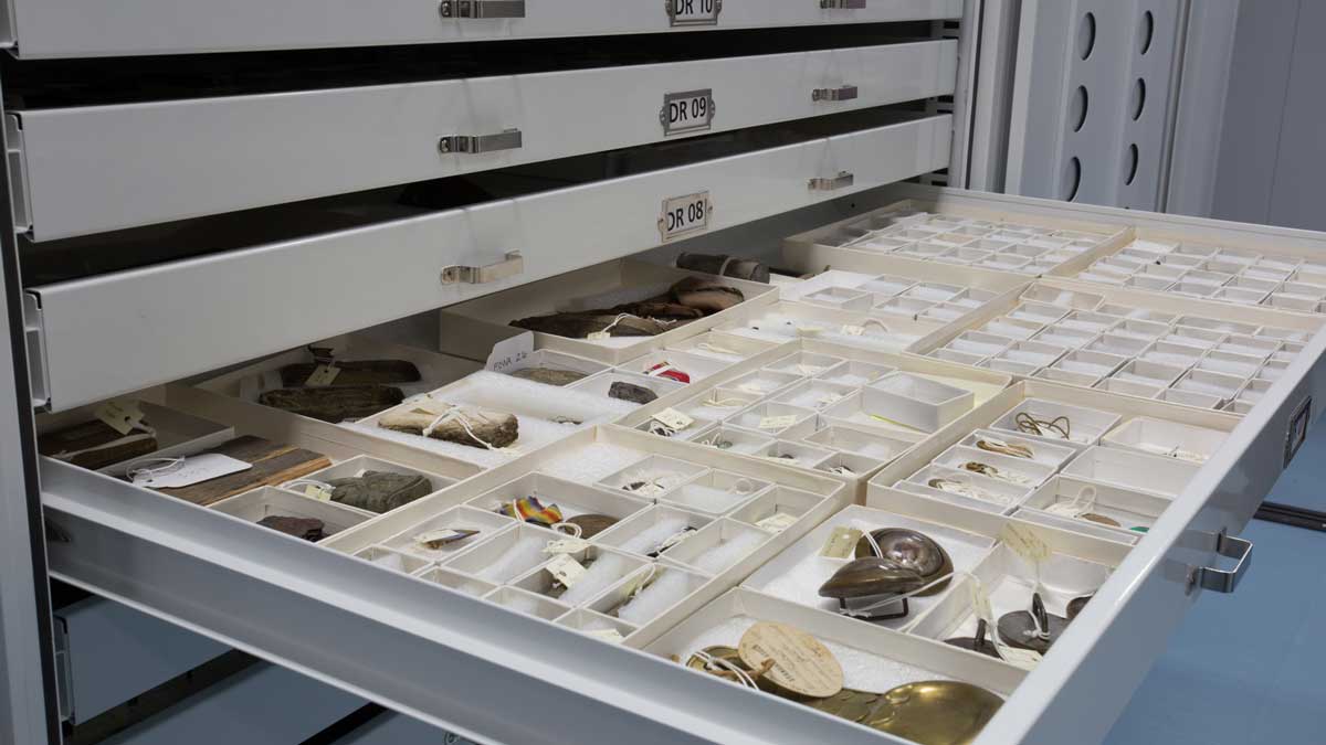 Natural history cabinets with sealed trays for specimens