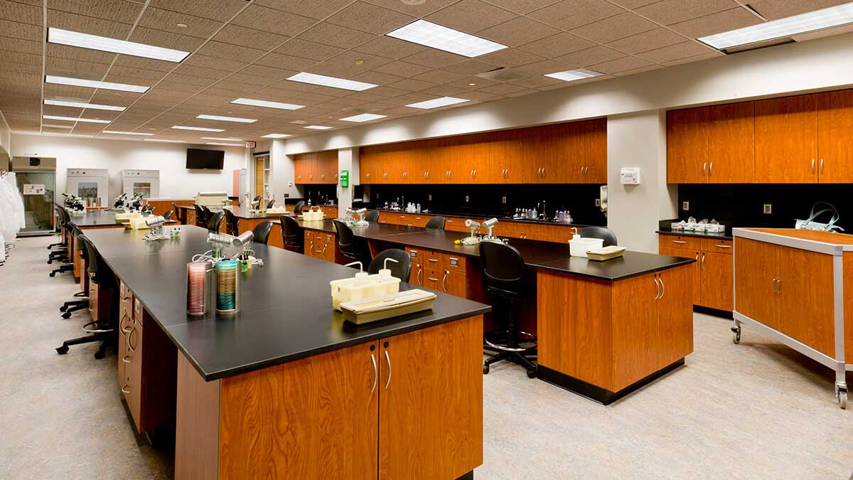 Base cabinets casework showcasing wooden cabinetry with multiple drawers and storage solutions for lab environments