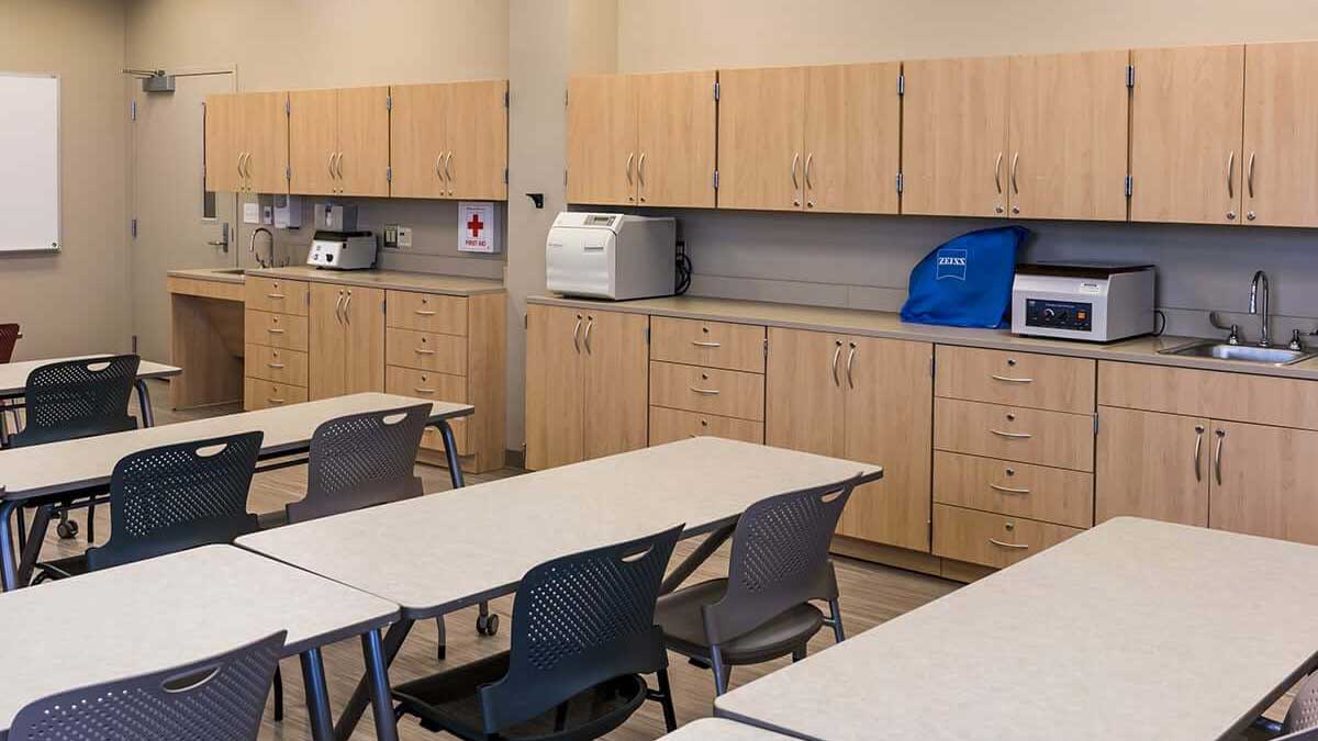 Wooden base cabinets in an educational lab setting, offering versatile storage and workspace solutions for lab activities