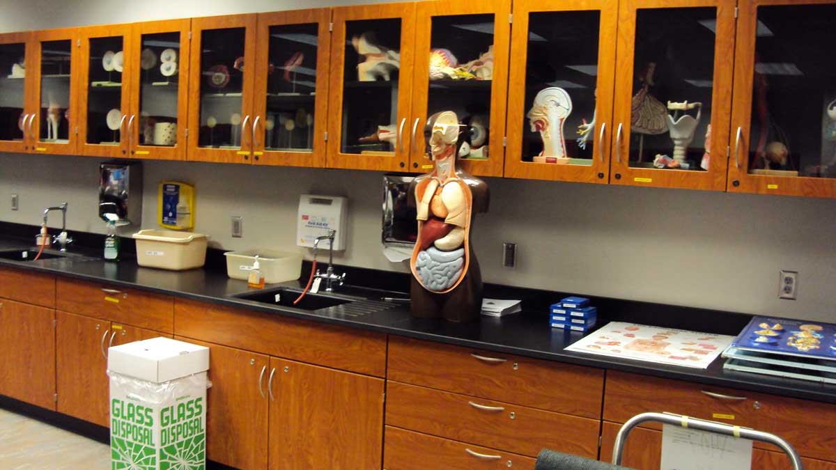 Clinical lab casework with cabinetry and work surfaces for sample processing