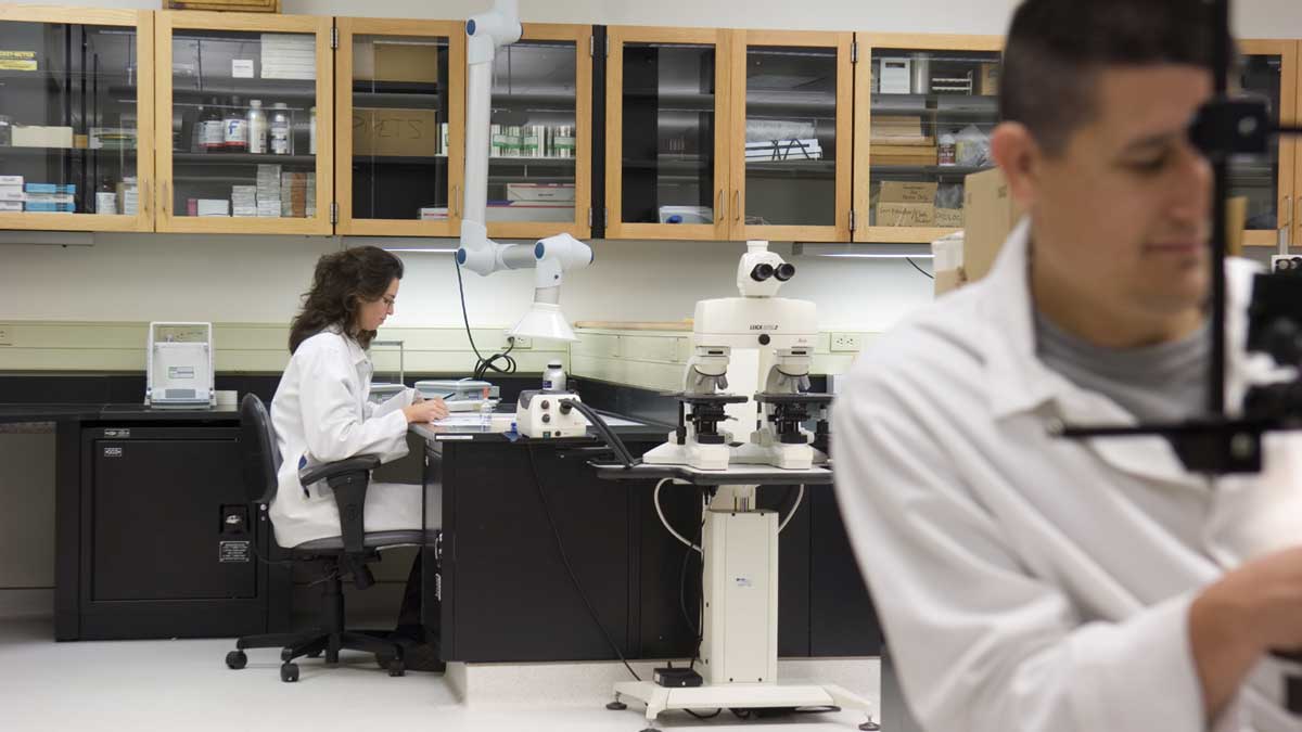 forensic lab furniture used by laboratory researchers analyzing samples with microscopes and specialized equipment