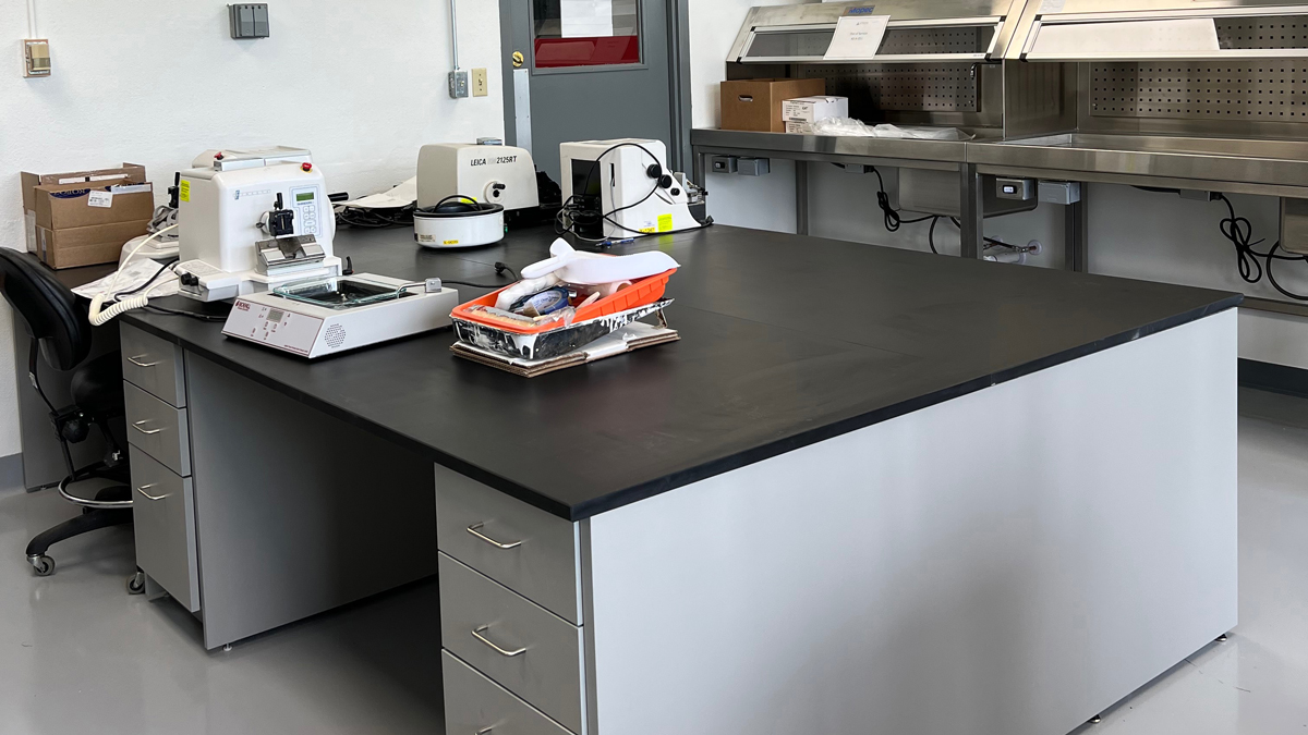 Laboratory cabinet design with modern casework for microbiology labs