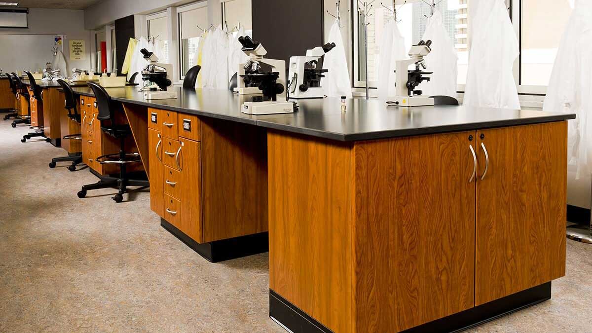 Laboratory with spacious wooden cabinets and black countertops for efficient laboratory storage and workspace