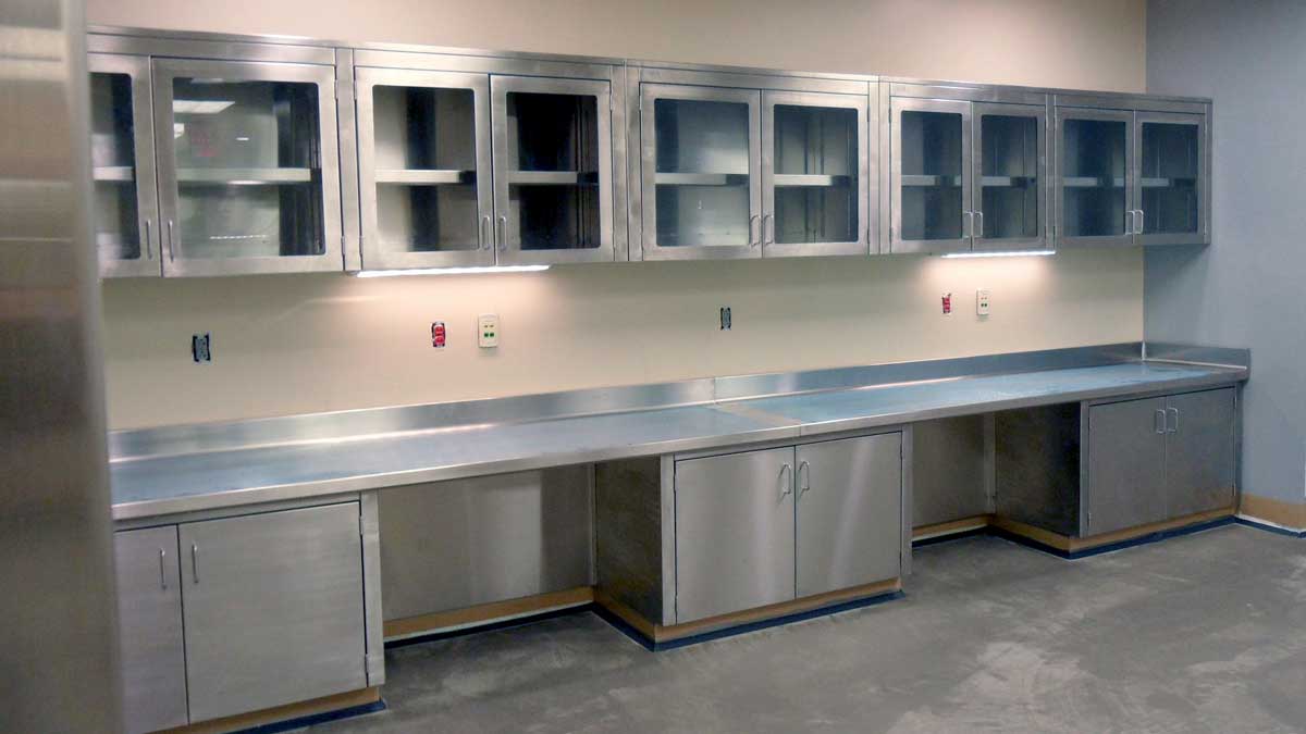 stainless steel laboratory casework with sink, upper cabinets, and drawers for medical or research settings