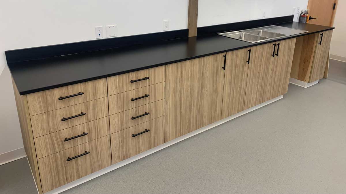 woodgrain cabinets with black countertop and dual sinks for office breakroom or kitchenette