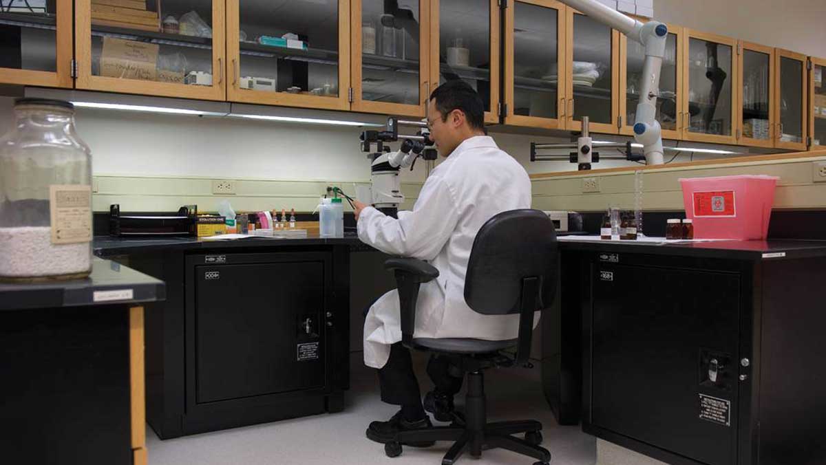 Lab bench workstation with a scientist using a microscope, seated on an ergonomic chair with under-counter storage cabinets
