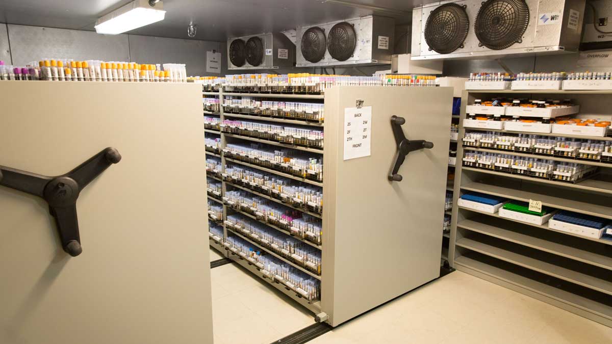 Compact mobile shelving in cold storage