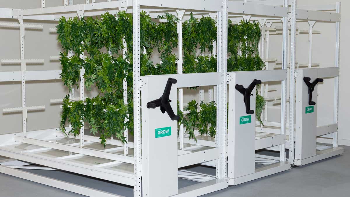 post-harvest drying rack system for cannabis drying and curing