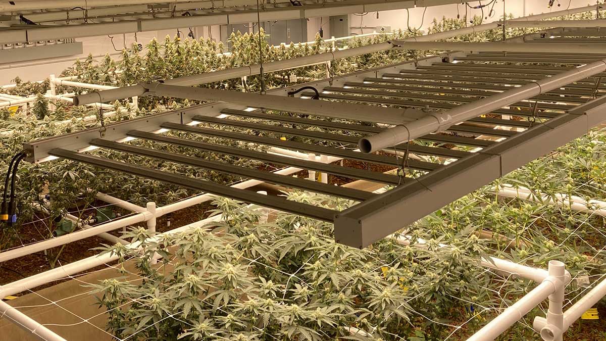 Light lifts above vertical racks