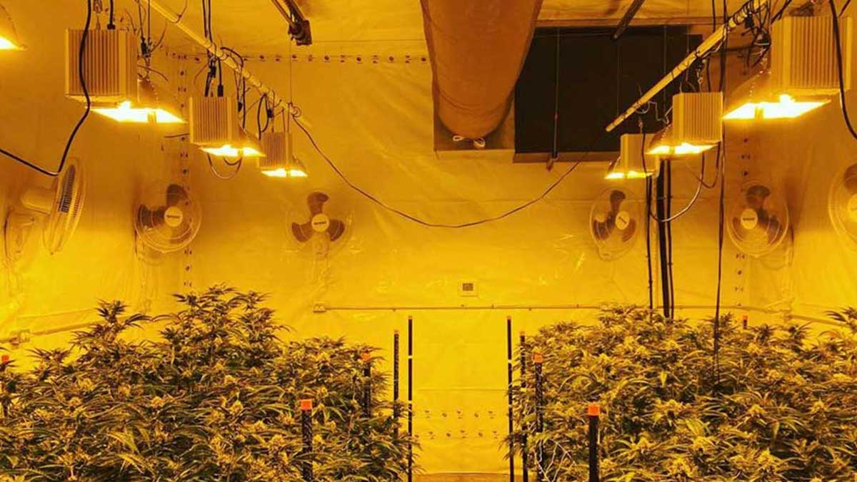 Vertical grow rack installation
