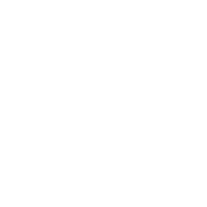 Southwest Solutions Group logo