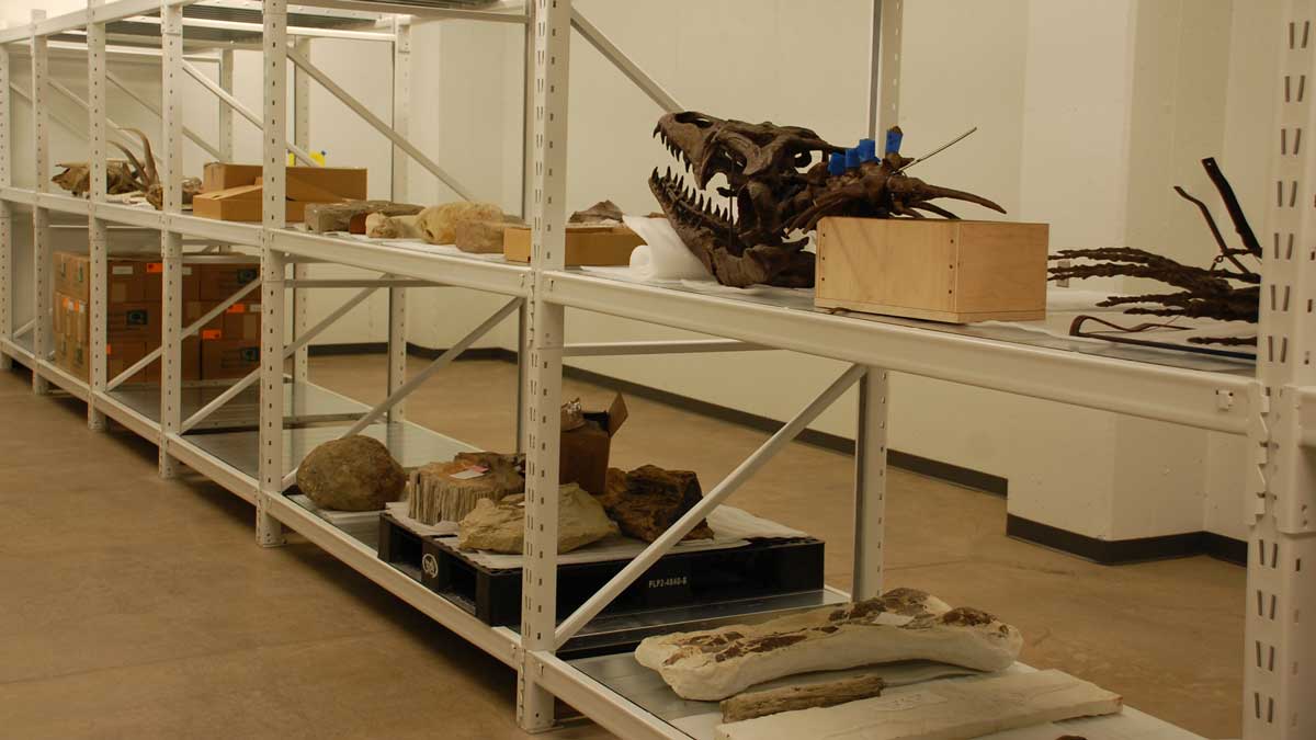 wide span shelving in museum setting for organized storage and preservation of historical artifacts