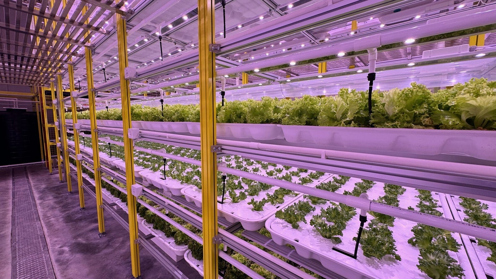 Indoor vertical farming cart application
