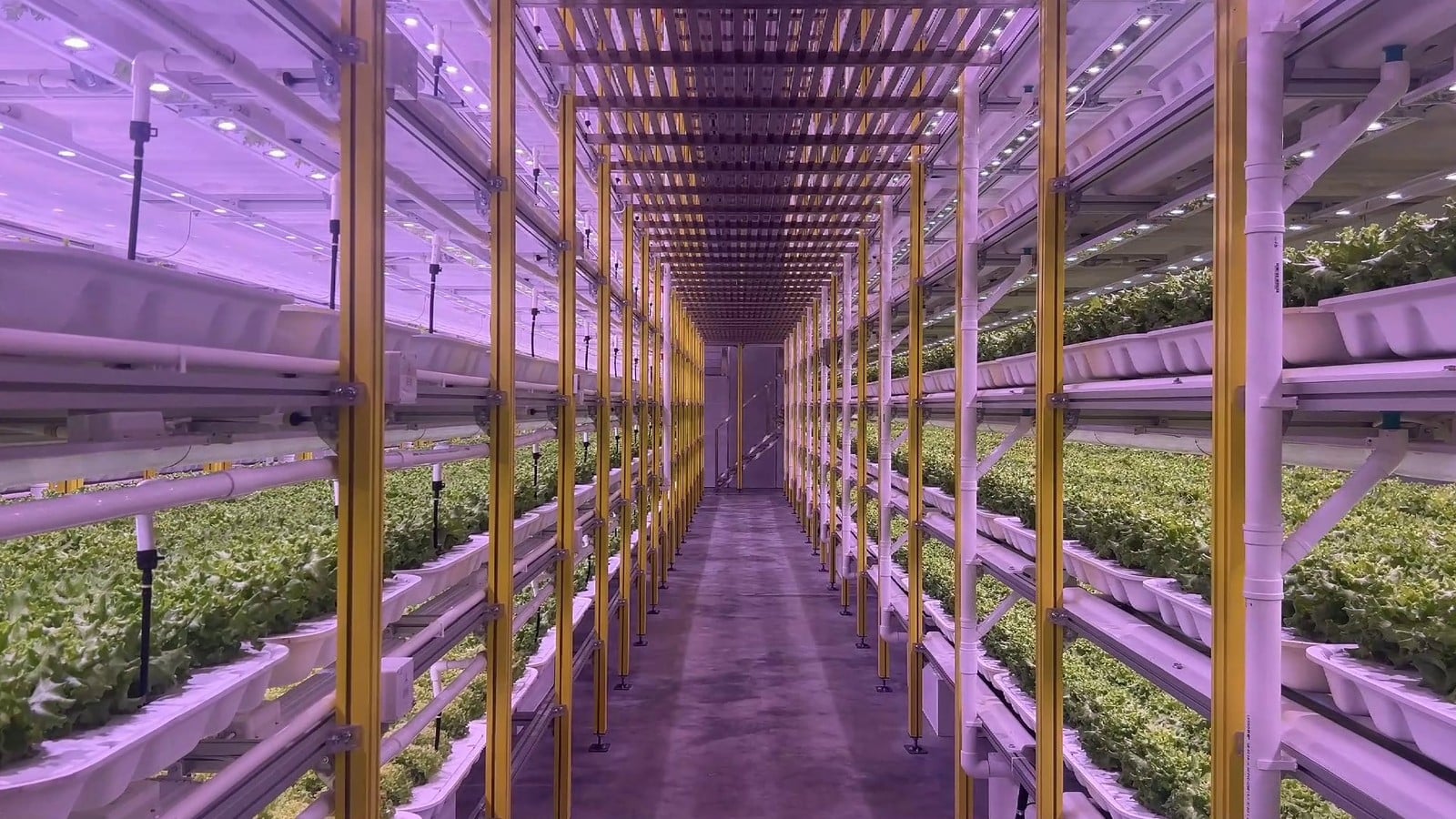 Automated indoor farm walkthrough view