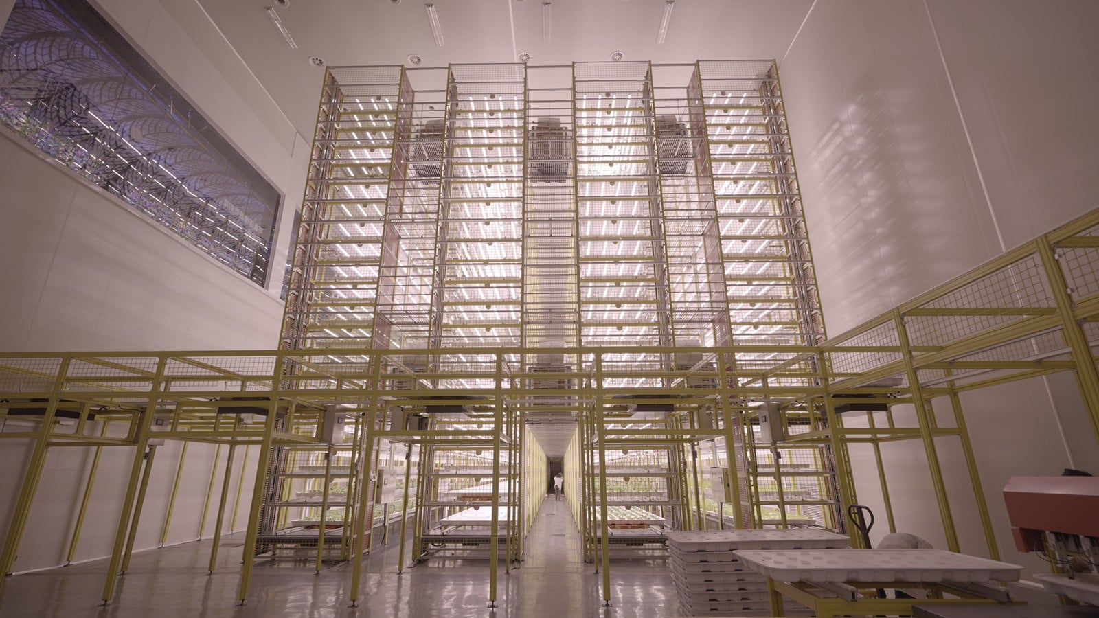 Full commercial-scale automated vertical farming facility with controlled environment equipment