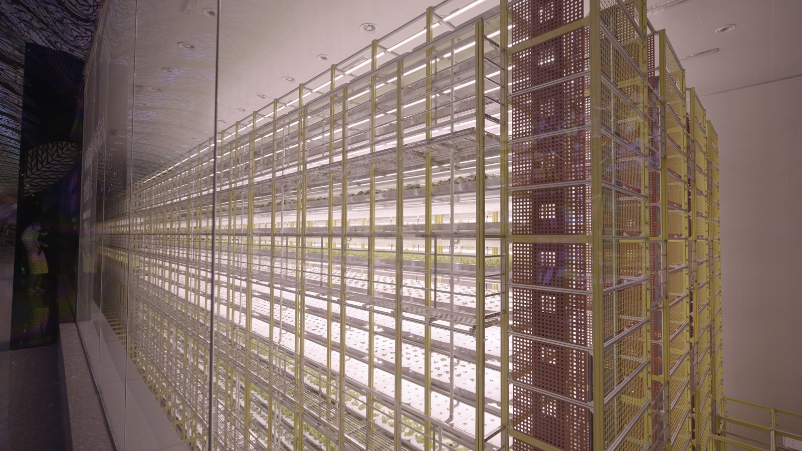 Existing grow operation with plants in a controlled environment