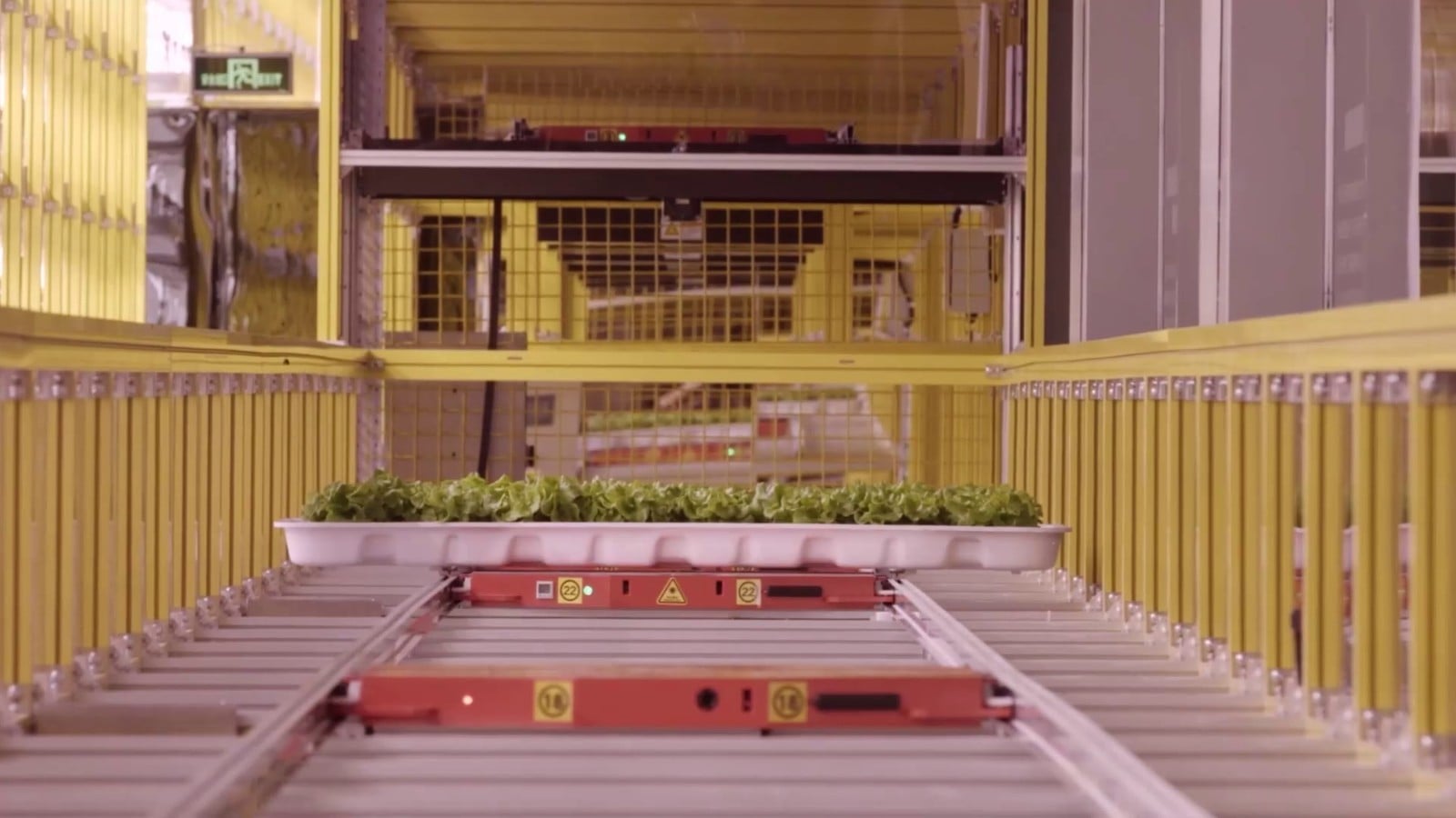 Facility layout planning render for a controlled horticulture environment