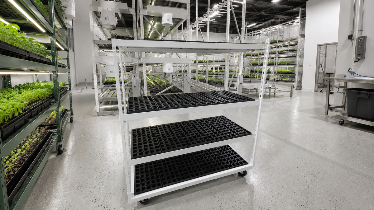 empty propagation rack seedling tray shelves designed for organized plant starts and nursery production