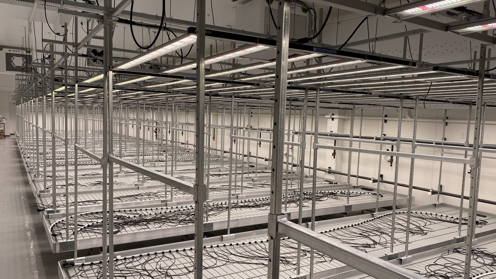 Rolling benches in greenhouse
