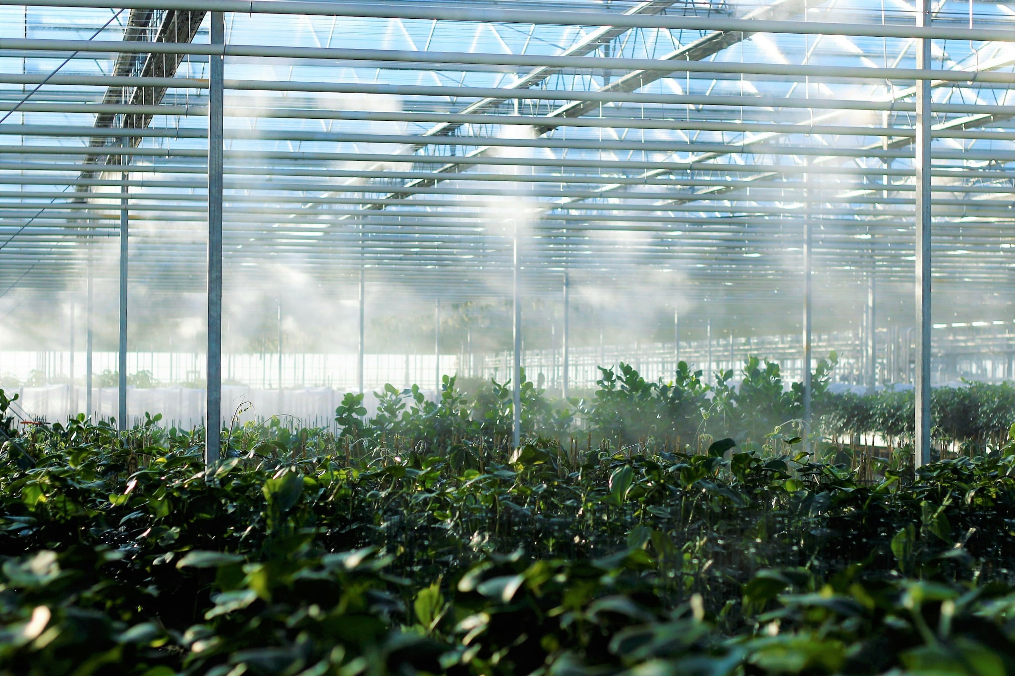 Greenhouse cart application