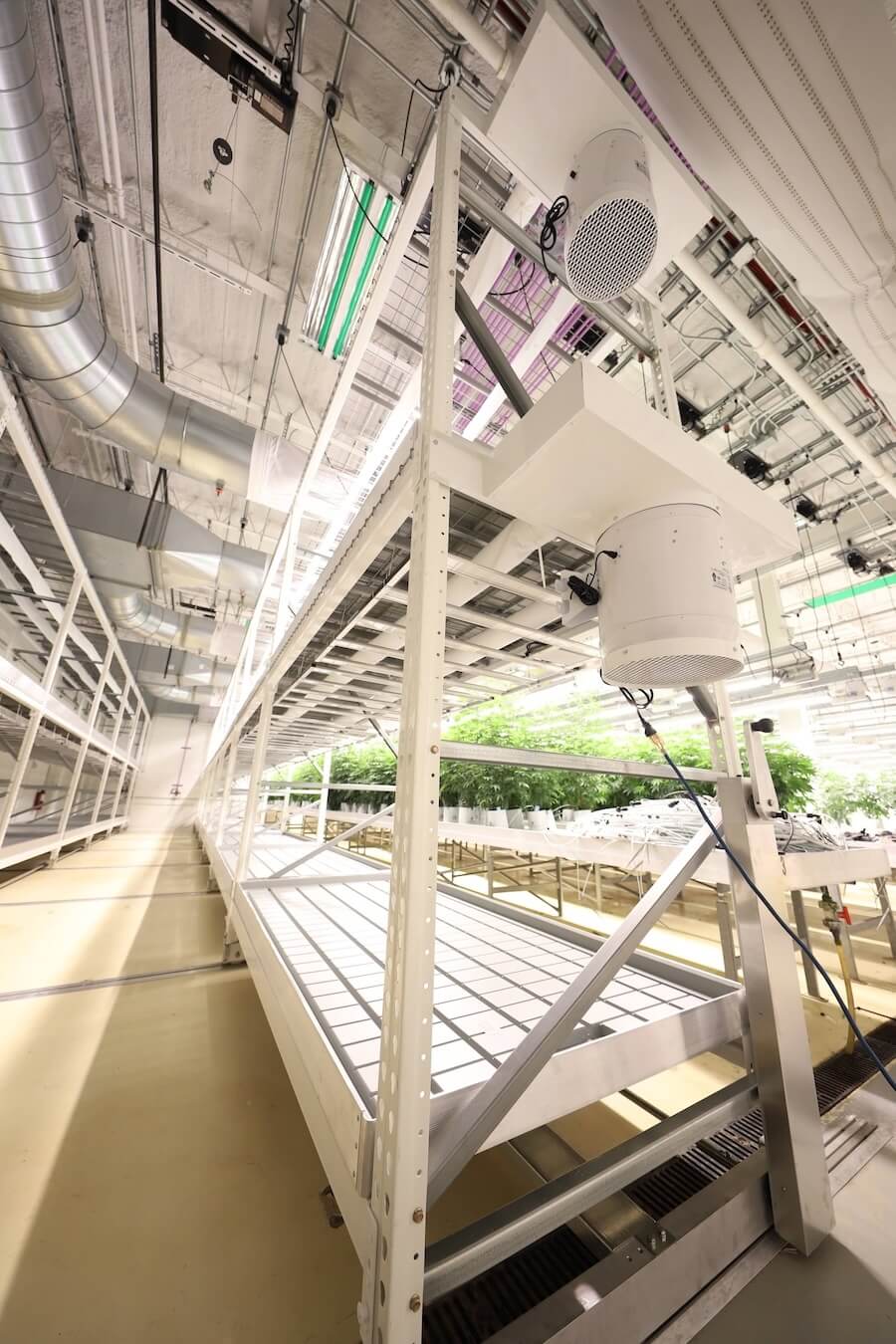Vertical grow rack with integrated airflow system and environmental equipment