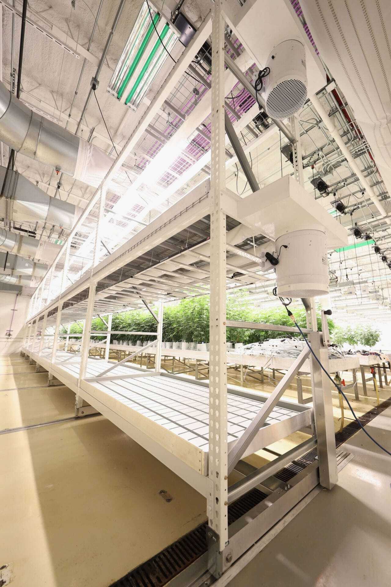 Vertical Grow Rack