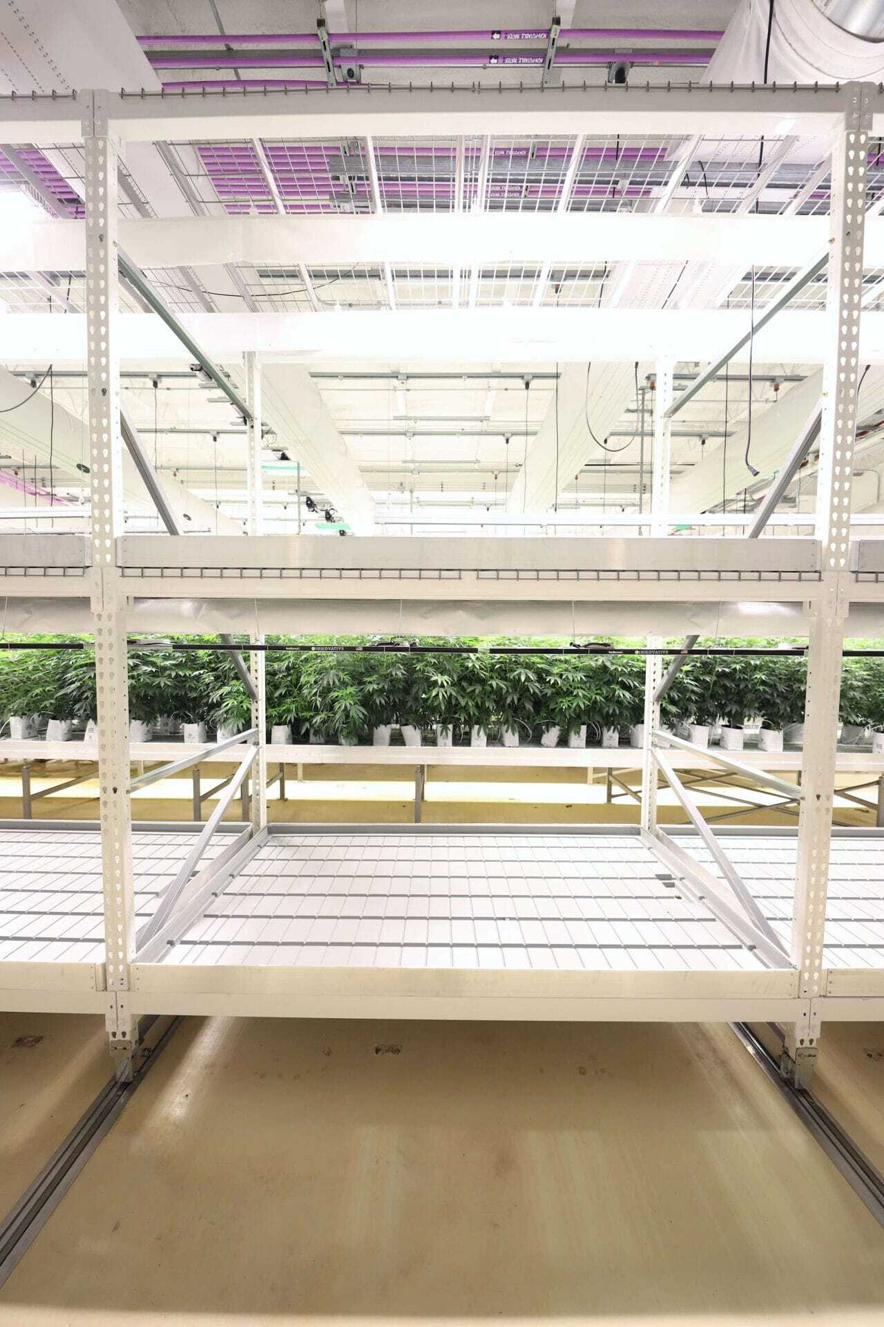 Mobile vertical grow rack system on floor tracks