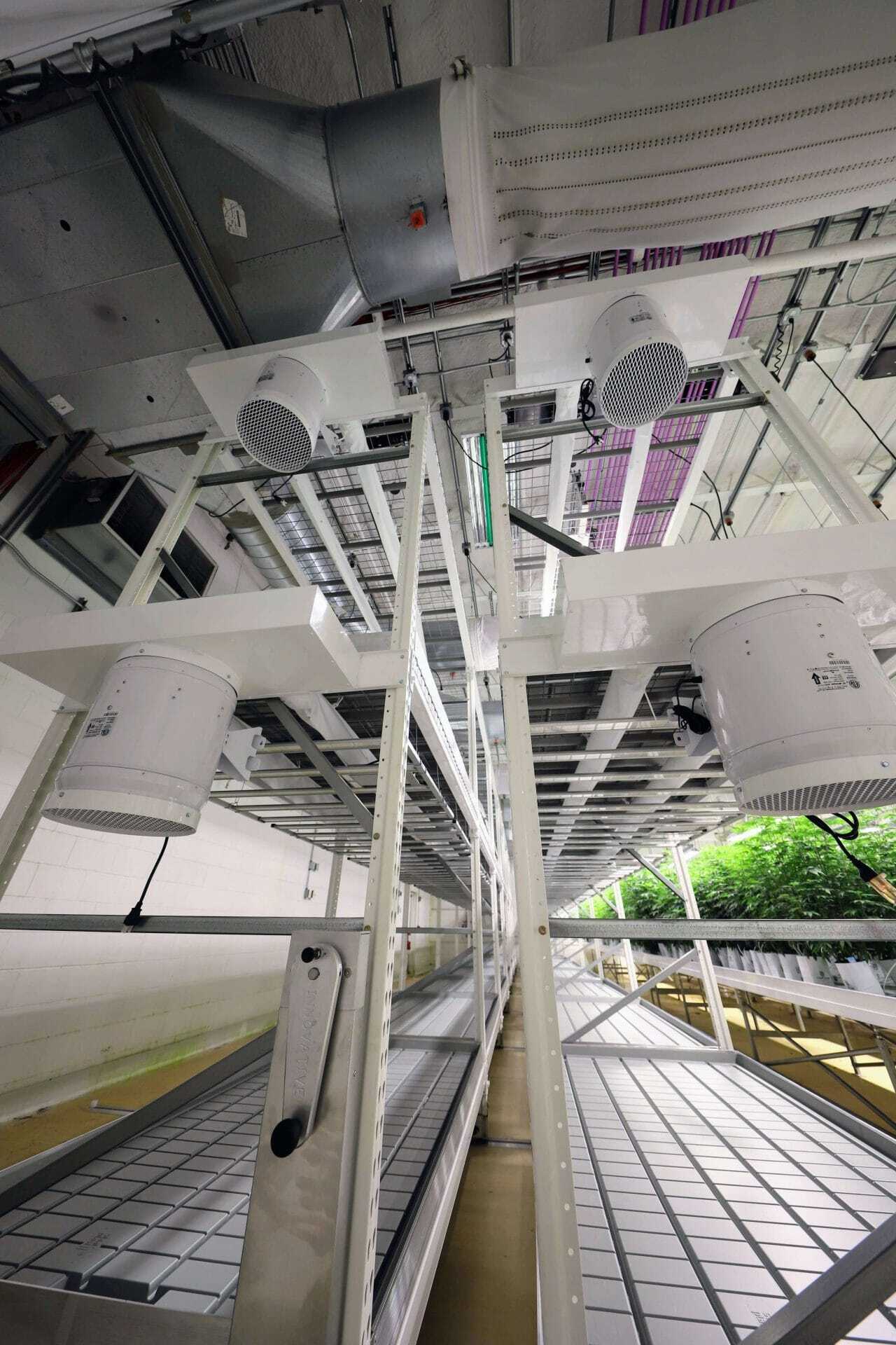 Upper levels of a multi-tier vertical grow rack reached by catwalk platforms