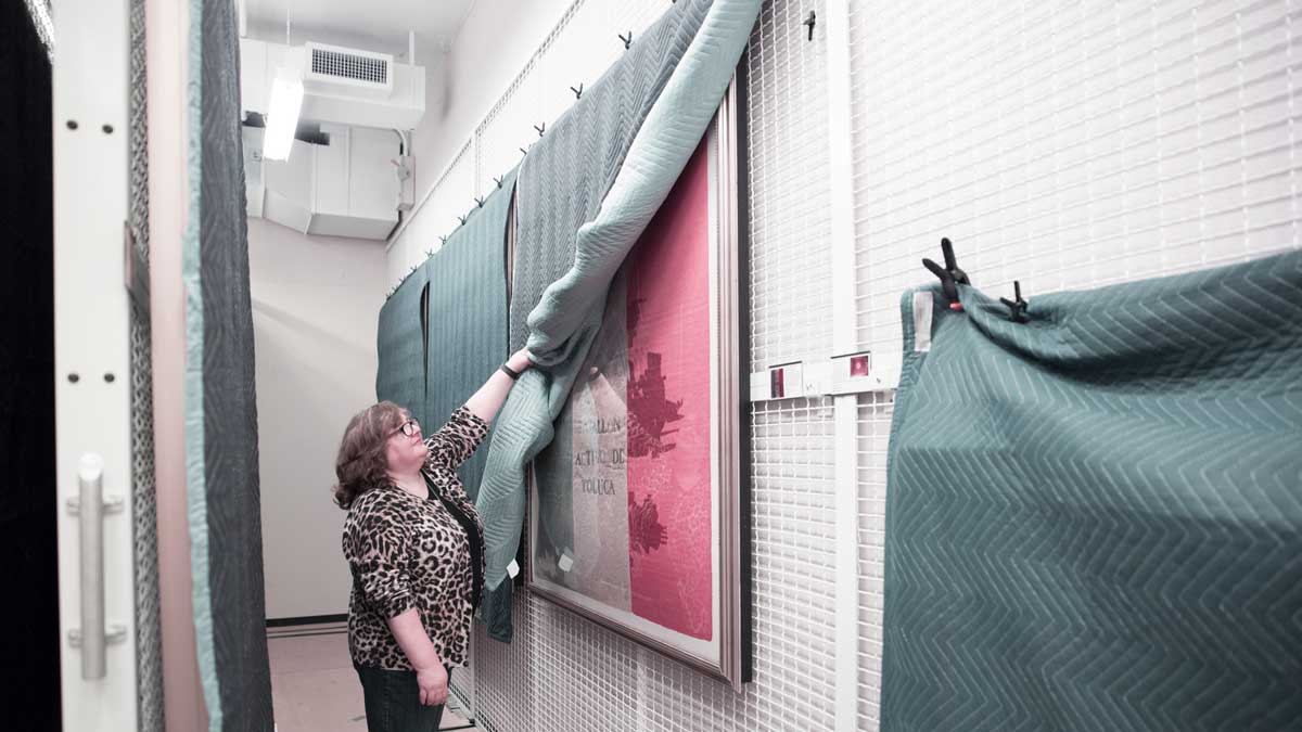 Wall-mounted art racks with tambour door protection for secure, dust-free artwork storage in a museum environment