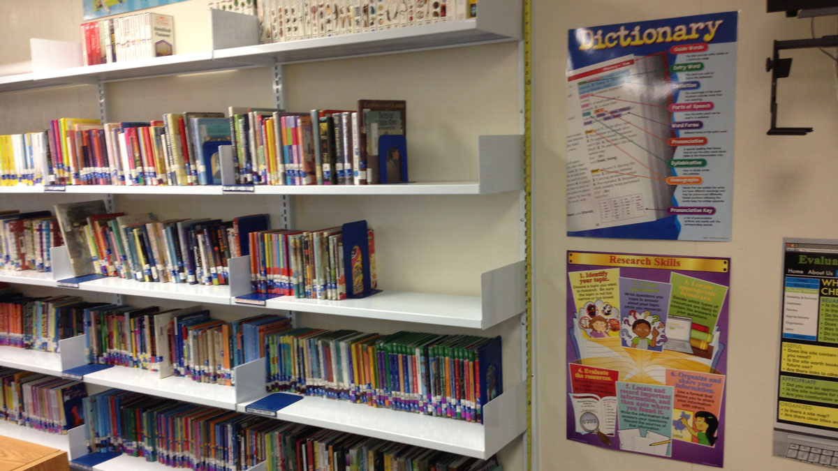Commercial wall shelving systems featuring adjustable panels and durable steel supports