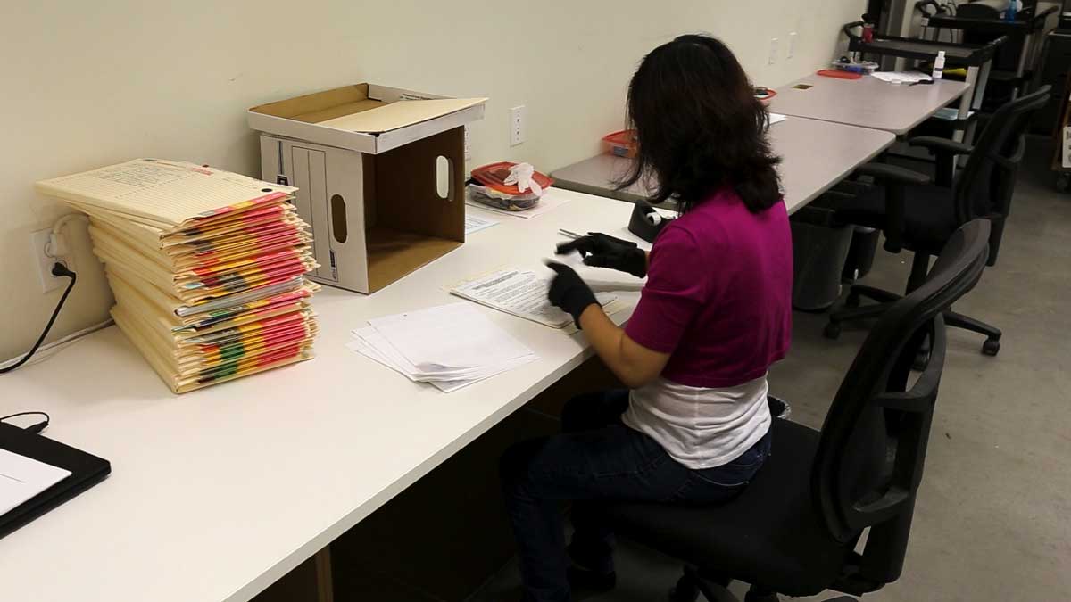 professional sorting and organizing files before digital scanning and indexing
