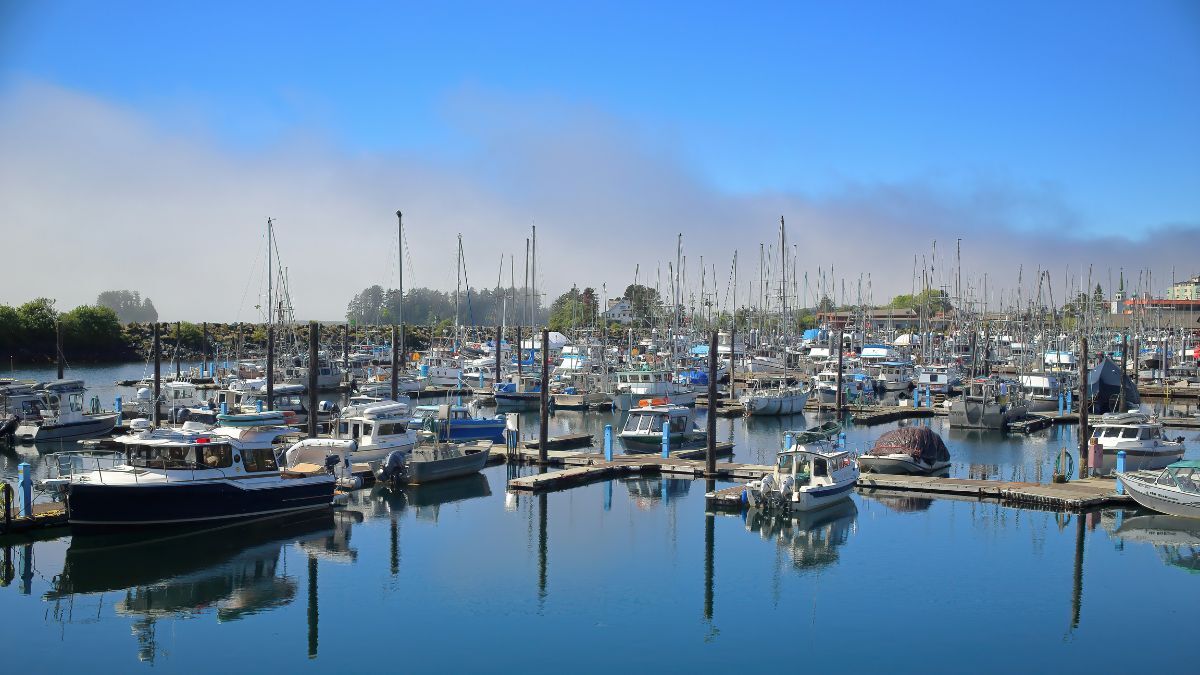 Sitka harbor marina with fishing boats, docks, and calm water