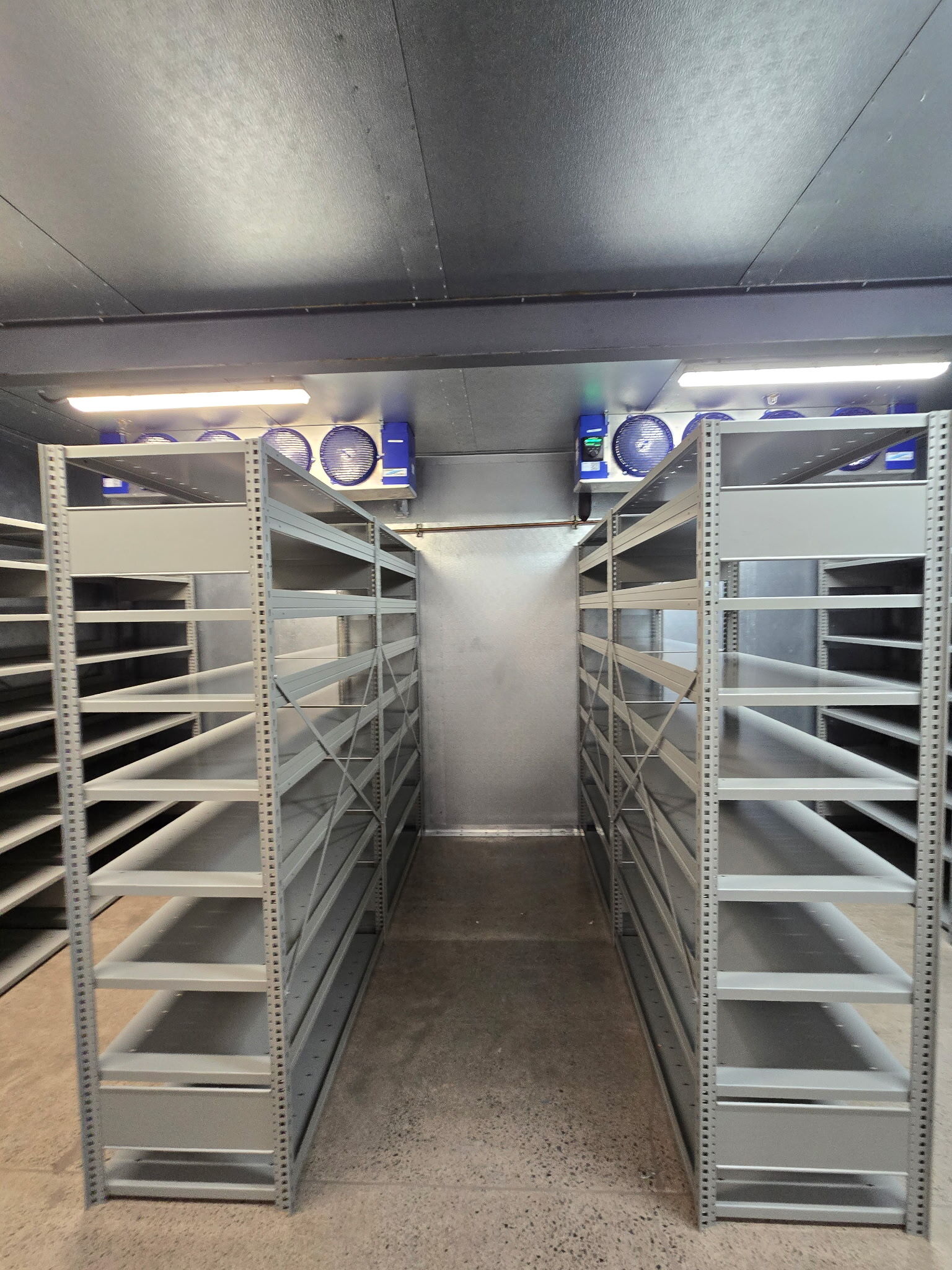 Athletics project in Hawaii