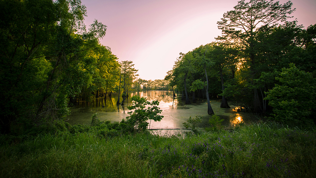 Hattiesburg, Mississippi office or skyline