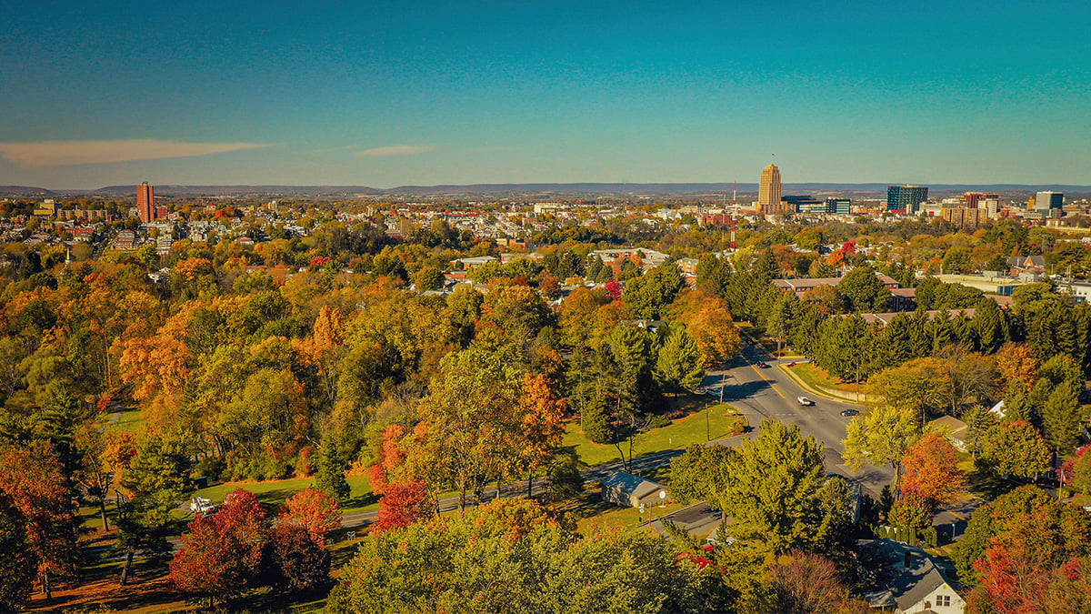 Allentown, Pennsylvania forrest outside the city