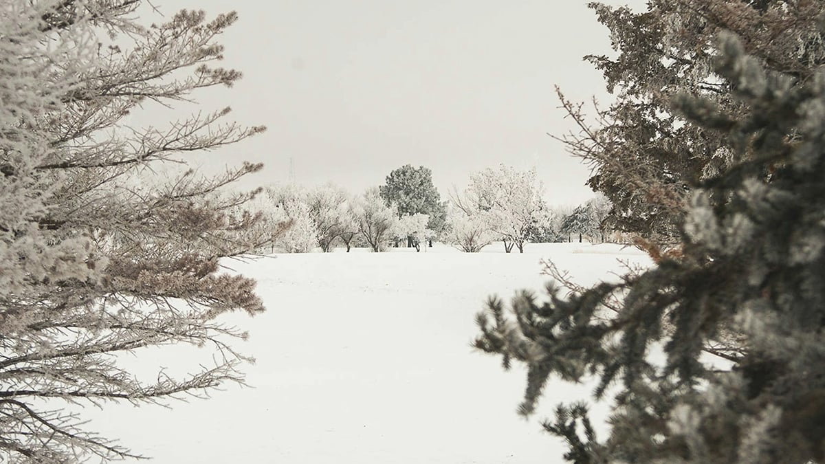 Aberdeen, South Dakota snowy winterscape over fields
