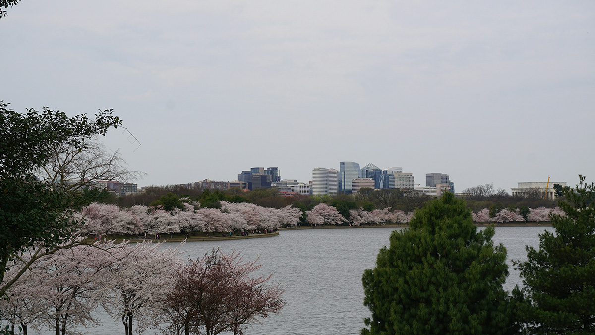 Arlington, Virginia, Washington DC office or skyline