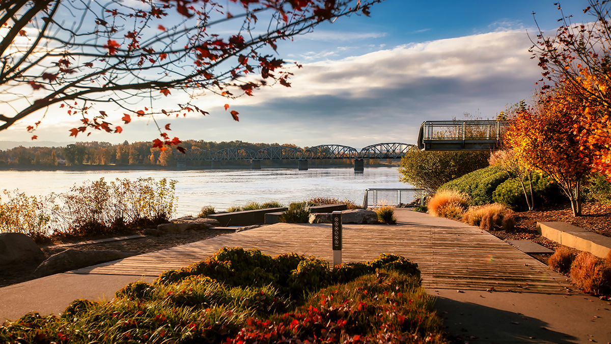 Vancouver park overlooking a lake