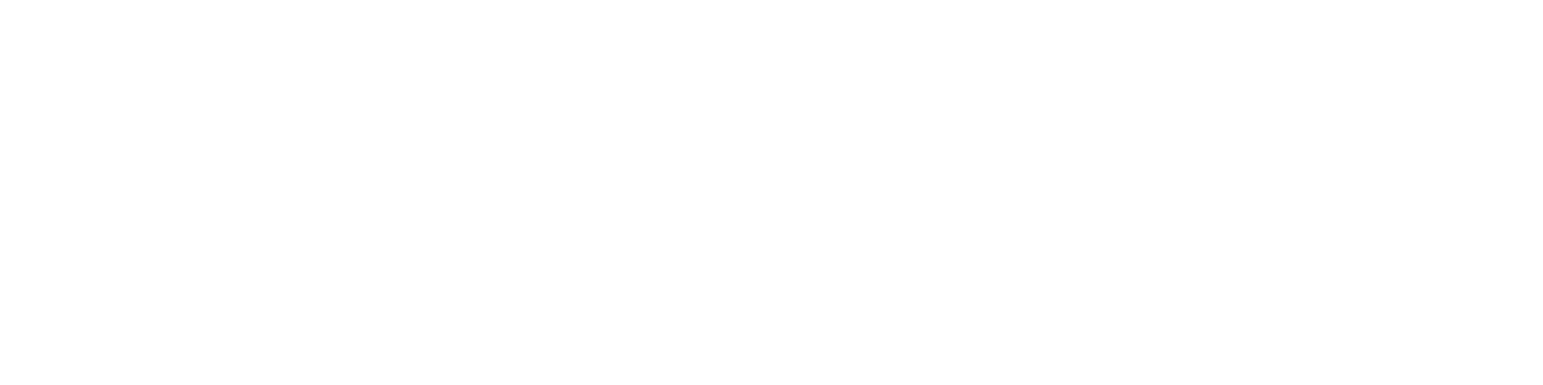 Bank of Texas logo
