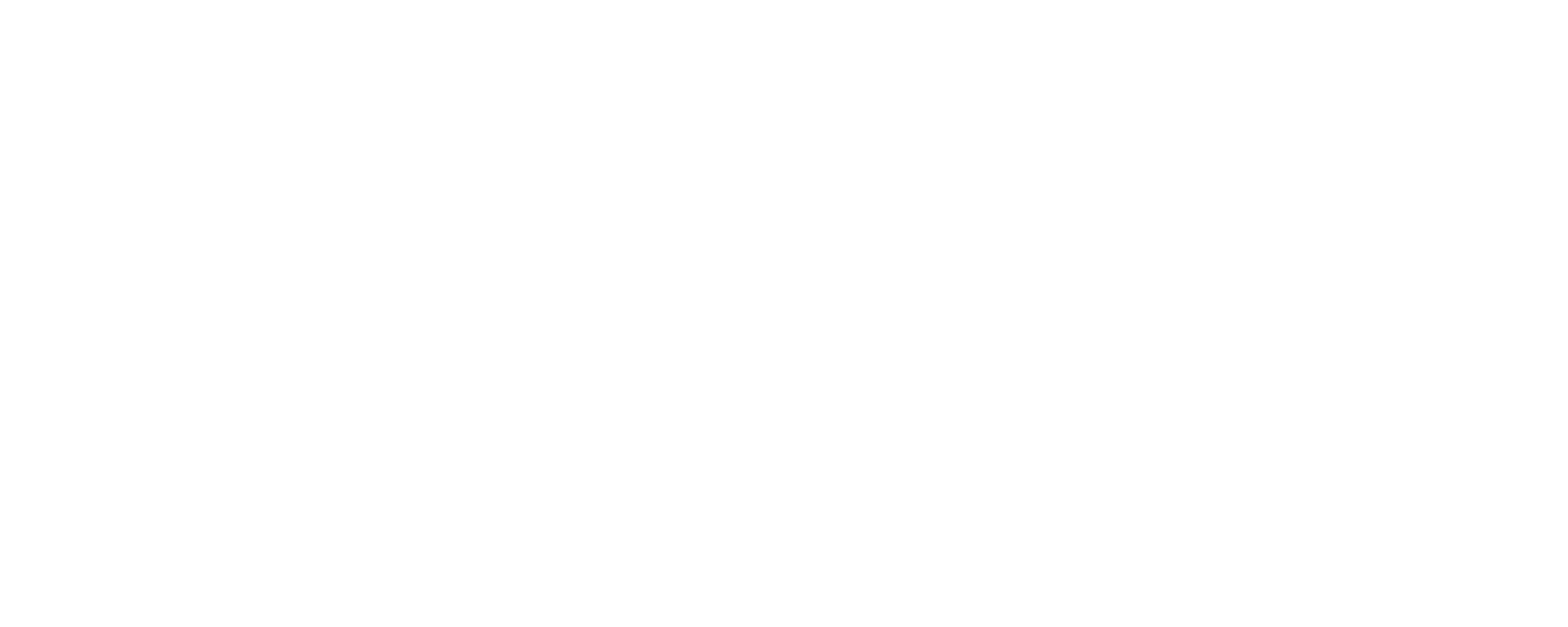 Diocese of Austin logo