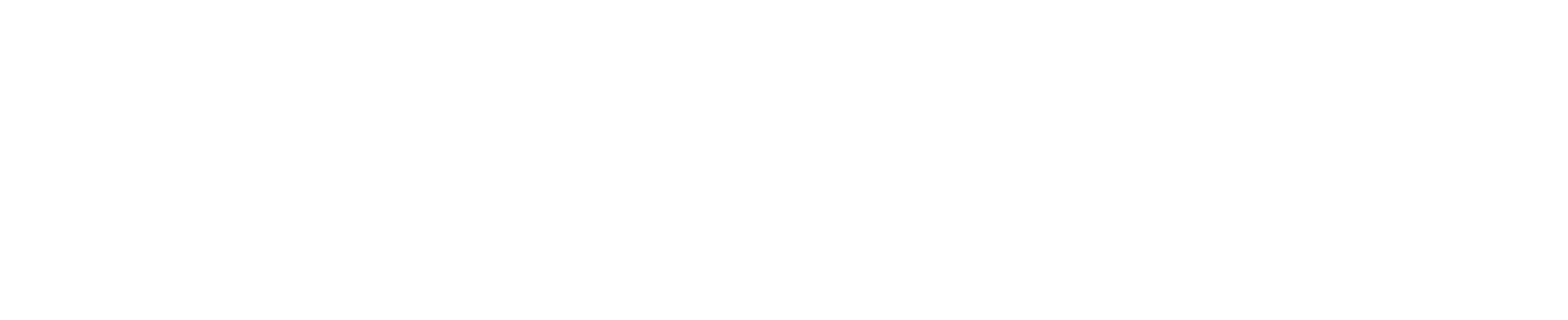 Haynes and Boone logo