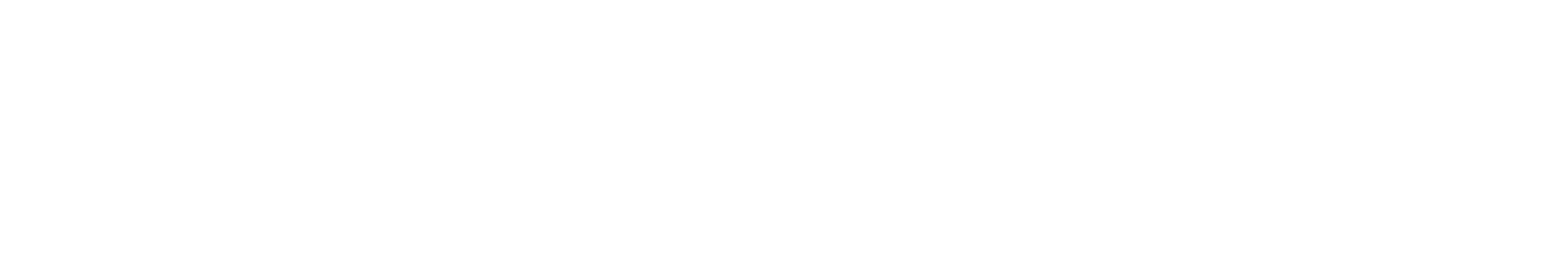 New Dominion logo