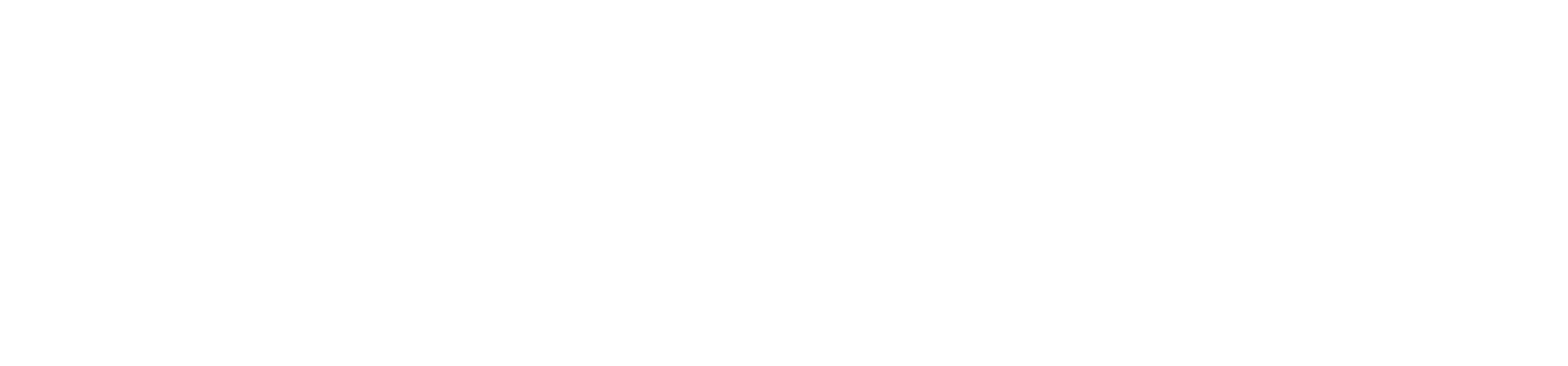 San Antonio Museum of Art logo