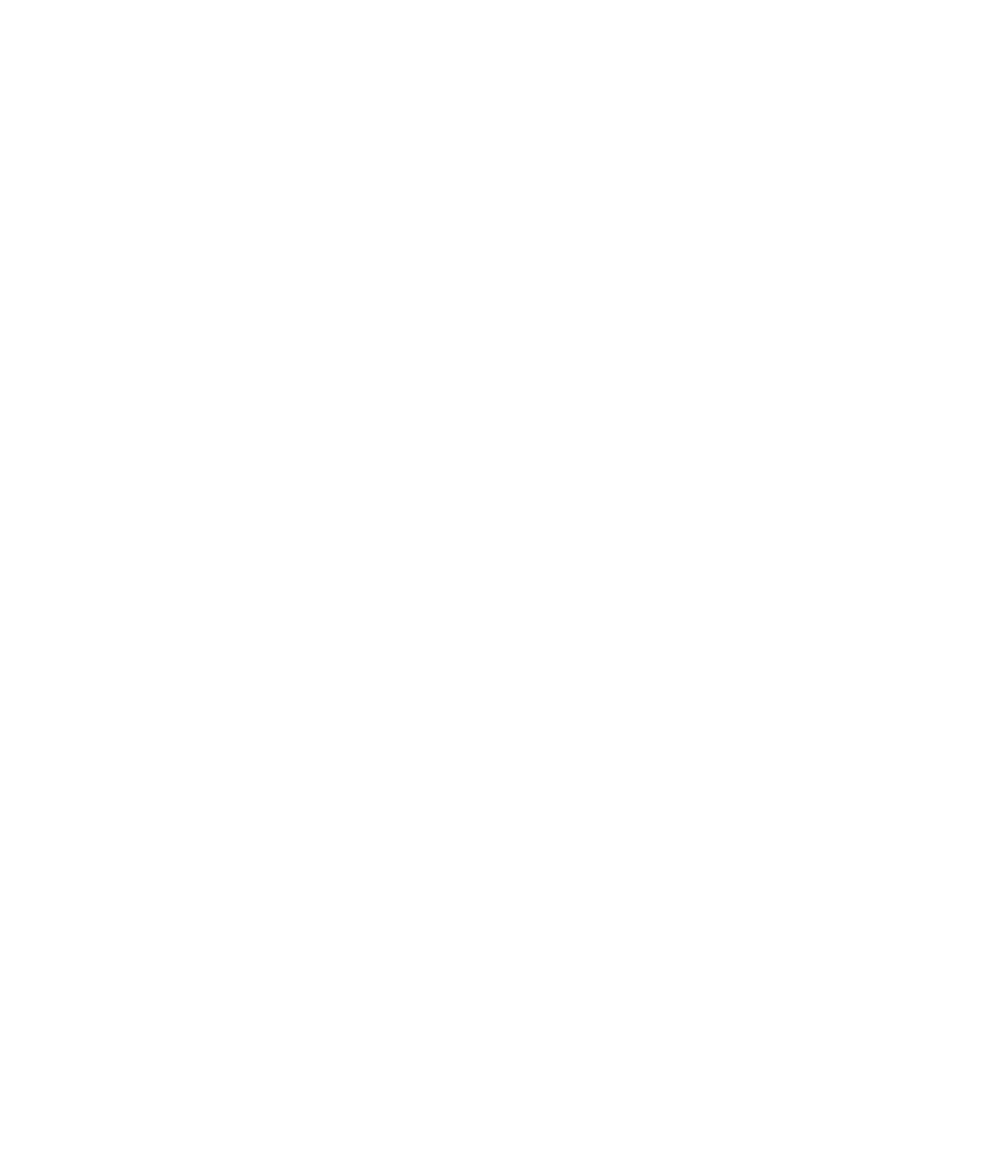 Senne Company logo